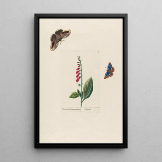 Petr Martynovich Gofman - Digitalis.webp