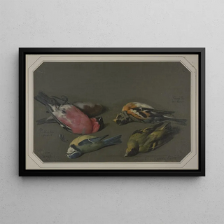 Philipp Ferdinand de Hamilton - Five dead birds.webp