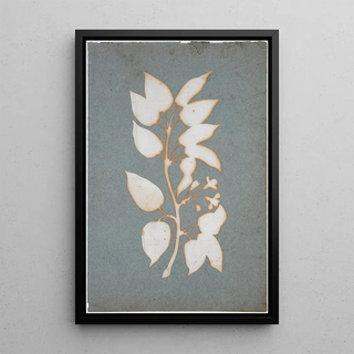 Philipp Otto Runge - Bltenzweig.webp