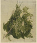 Buisson à fleurs blanches - Philipp Rumpf — näkymä teoksesta