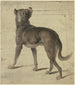 Chien - Philipp Rumpf — näkymä teoksesta