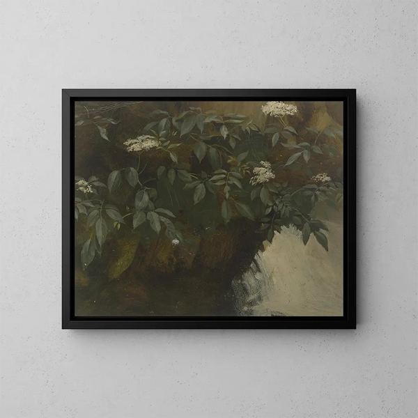 Sureau en fleurs - Philipp Rumpf — kehystetty taideteos seinällä
