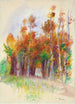 Bosquet d'arbres - Pierre-Auguste Renoir — näkymä teoksesta