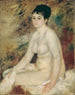 Après le bain - Pierre-Auguste Renoir — näkymä teoksesta