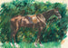 Hevonen - Pierre-Auguste Renoir — näkymä teoksesta