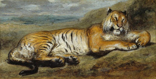 Pierre Andrieu - Tiger Resting.webp