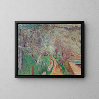 Maisema kirkas tai Oliivipuut Cagnes - Pierre Bonnard — kehystetty taideteos seinällä