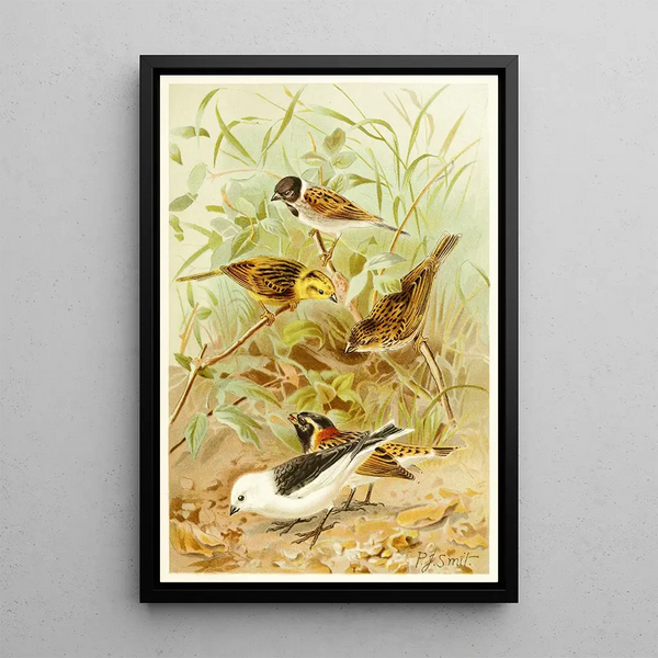 Pierre Jacques Smit - Buntings.webp