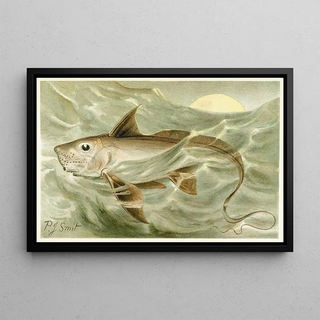 Pierre Jacques Smit - Chimaera.webp