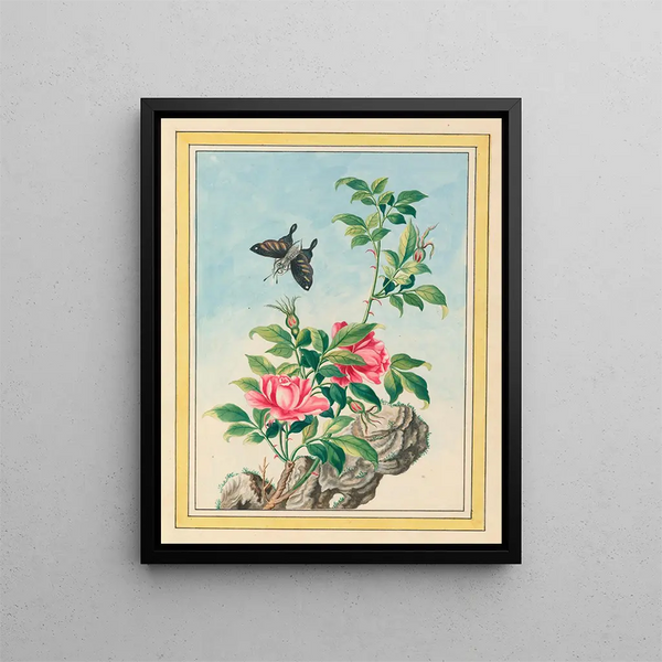 Pierre Joseph Buchoz - Plantes de Chine Pl003.webp