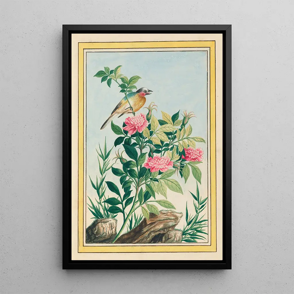 Pierre Joseph Buchoz - Plantes de Chine Pl005.webp