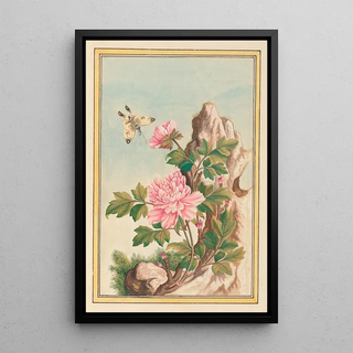 Pierre Joseph Buchoz - Plantes de Chine Pl010.webp