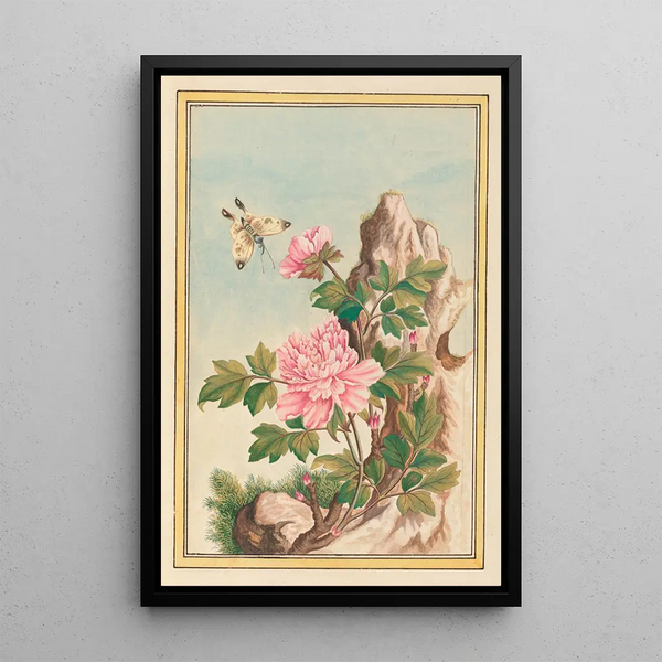 Pierre Joseph Buchoz - Plantes de Chine Pl010.webp