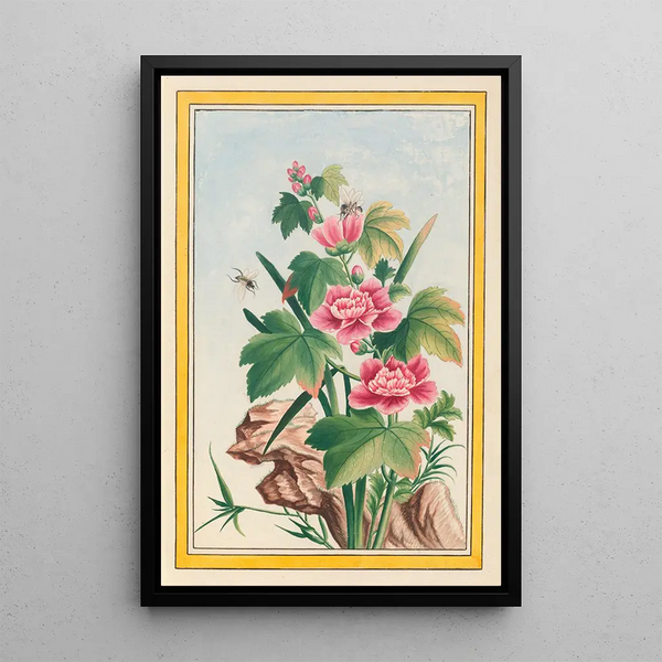 Pierre Joseph Buchoz - Plantes de Chine Pl012.webp