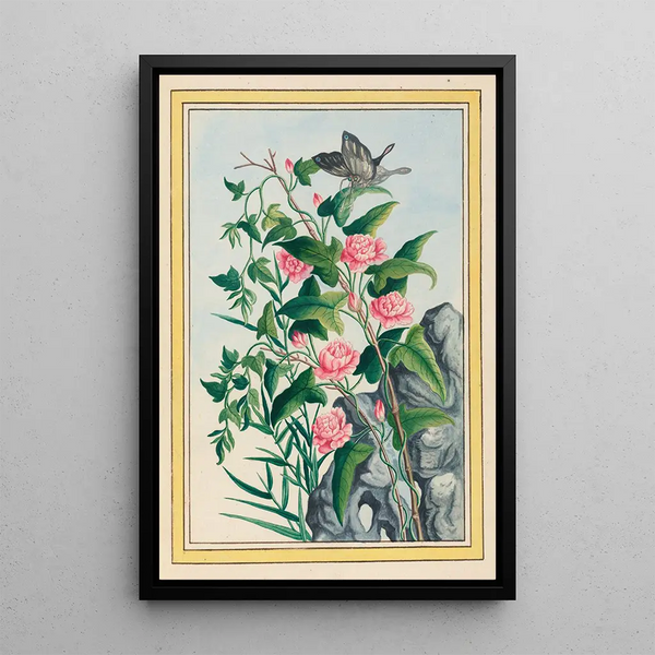 Pierre Joseph Buchoz - Plantes de Chine Pl022.webp