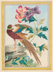 Plantes de Chine Pl.024 - Pierre Joseph Buchoz — näkymä teoksesta