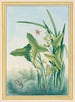 Plantes de Chine Pl.029 - Pierre Joseph Buchoz — näkymä teoksesta