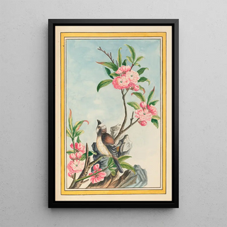 Pierre Joseph Buchoz - Plantes de Chine Pl047.webp