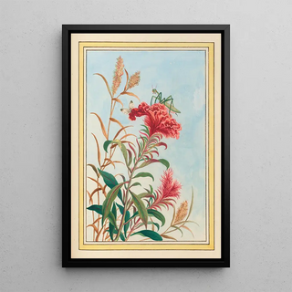 Pierre Joseph Buchoz - Plantes de Chine Pl077.webp