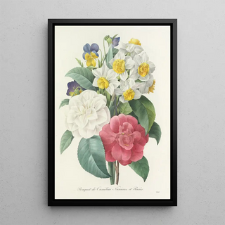 Pierre Joseph Redout - Choix des plus belles fleurs pl 015.webp