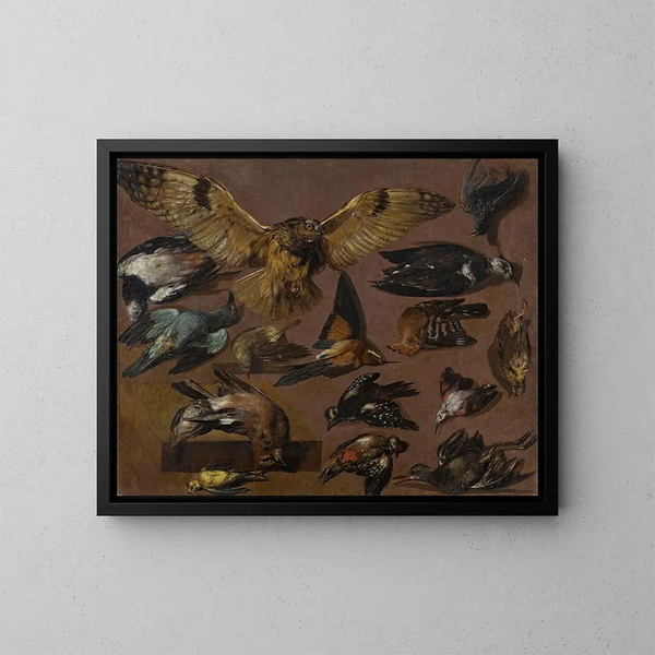 Études d'une chouette et d'autres oiseaux - Pieter Boel — kehystetty taideteos seinällä