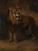 Un lion de la ménagerie du roi Louis Napoléon 1808 - Pieter Gerardus van Os — näkymä teoksesta