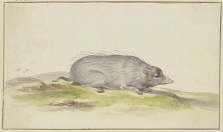 Pieter Holsteijn - Mole to the right.webp