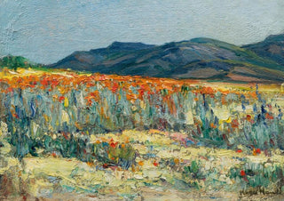 Pieter Hugo Naude - Springtime Namaqualand.webp