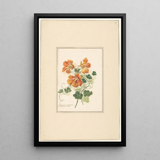 Pieter van Loo - Takken van een Tropaeolum en een viooltje.webp