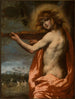Apollon - Pietro della Vecchia — näkymä teoksesta