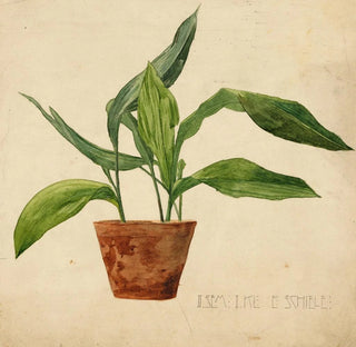 Plante en pot Schlerarbeit - Egon Schiele