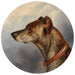 Portrait de chien rond - Carl Reichert — näkymä teoksesta