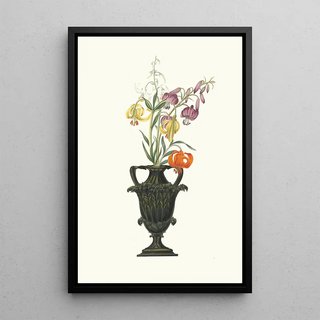 Priscilla Susan Bury - Lilium Pomponium Lilium Chalcedonicum.webp