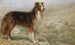 Pendant que le chien se repose, le berger peut dormir - R. S. Moseley — näkymä teoksesta