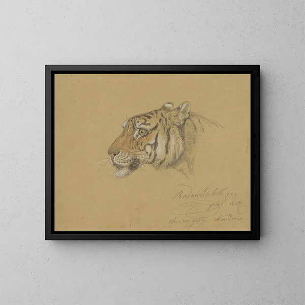 Tête de tigre - Raden Saleh — kehystetty taideteos seinällä