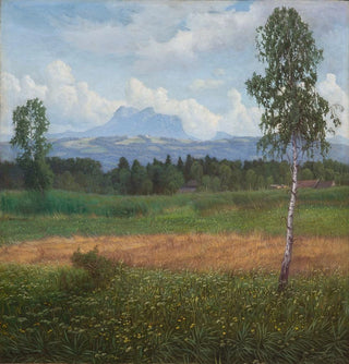 Regard vers le Heuberg - Michael Licklederer