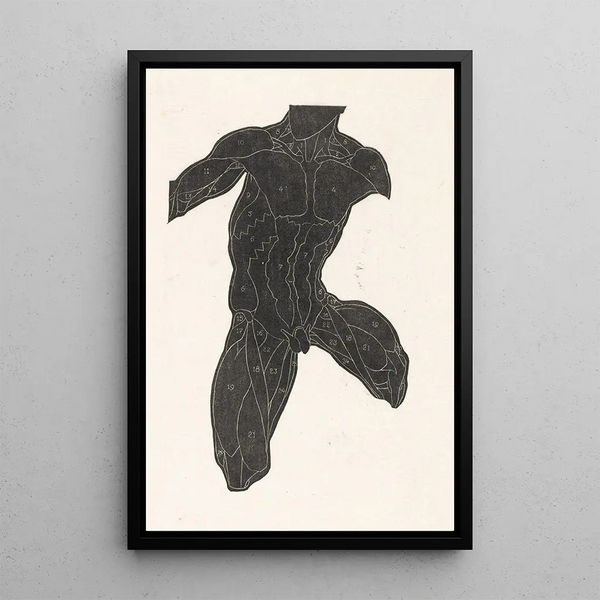 Reijer Stolk - Anatomische studie van de nek buik en bovenbeenspieren van een man in silhouet.webp