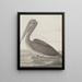 Histoire naturelle de Saint-Domingue Pl040 - René de Rabi — kehystetty taideteos seinällä
