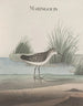Histoire naturelle de Saint-Domingue Pl051 - René de Rabi — näkymä teoksesta