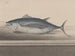 Histoire naturelle de Saint-Domingue Pl065 - René de Rabi — näkymä teoksesta