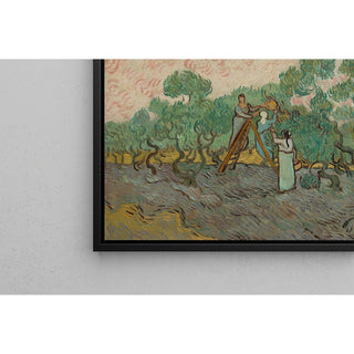 Reproduction Femmes ramassant des olives - Vincent van Gogh