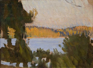 Richard Bergh - Beach at sbyholm.webp