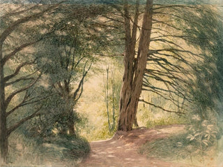 Richard Doyle - Boxhill Surrey.webp