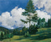 Motif à Toblach - Richard Harlfinger — näkymä teoksesta