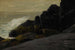 Robert Henri — näkymä teoksesta
