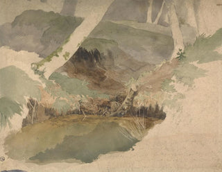 Bassin forestier - Robert Hills — näkymä teoksesta