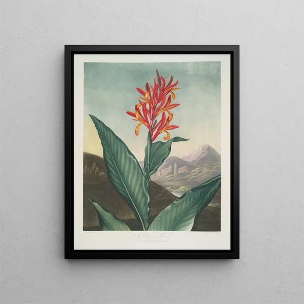 Robert John Thornton - Indian Reed.webp