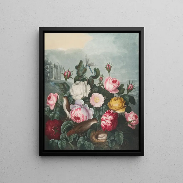 Roses - Robert John Thornton — kehystetty taideteos seinällä
