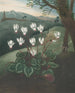 Le Cyclamen de Perse - Robert John Thornton — näkymä teoksesta