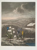 Le Perce-neige - Robert John Thornton — näkymä teoksesta